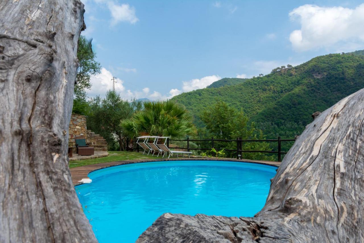 Agriturismo Colline Morghetta Isolabona Екстериор снимка